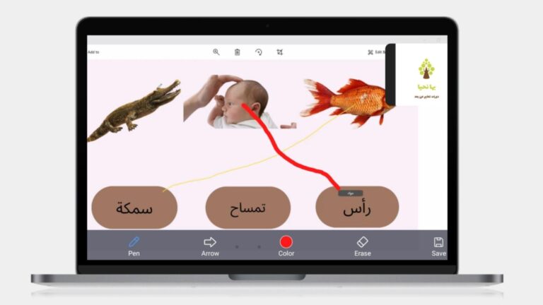 دورات لتعليم اللغة العربية